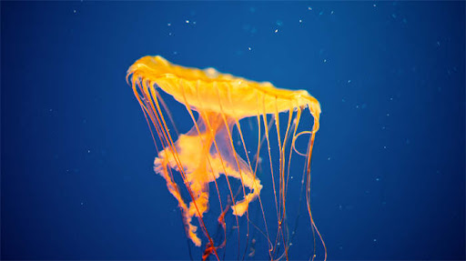 芯片封装测试流程详解